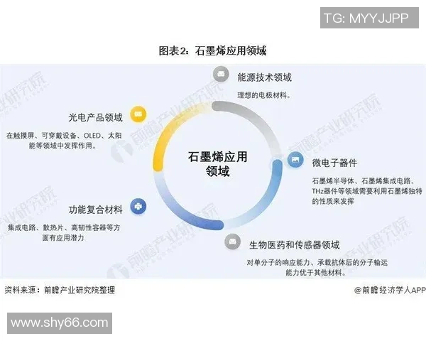 新兴市场本土彩票运营商在印度和尼日利亚的快速崛起与发展趋势分析